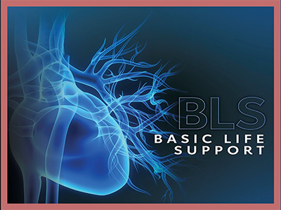 Basic Life Support