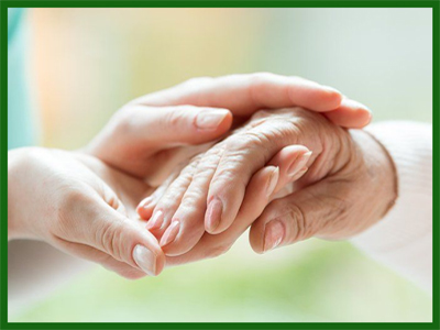 Palliative service, Palliative care program and Rehabilitation services