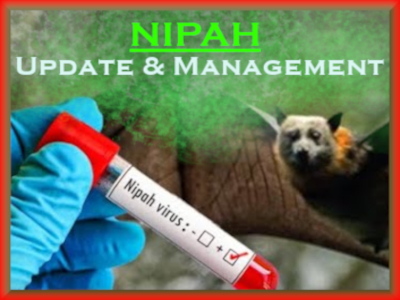 NIPAH - Update & Management